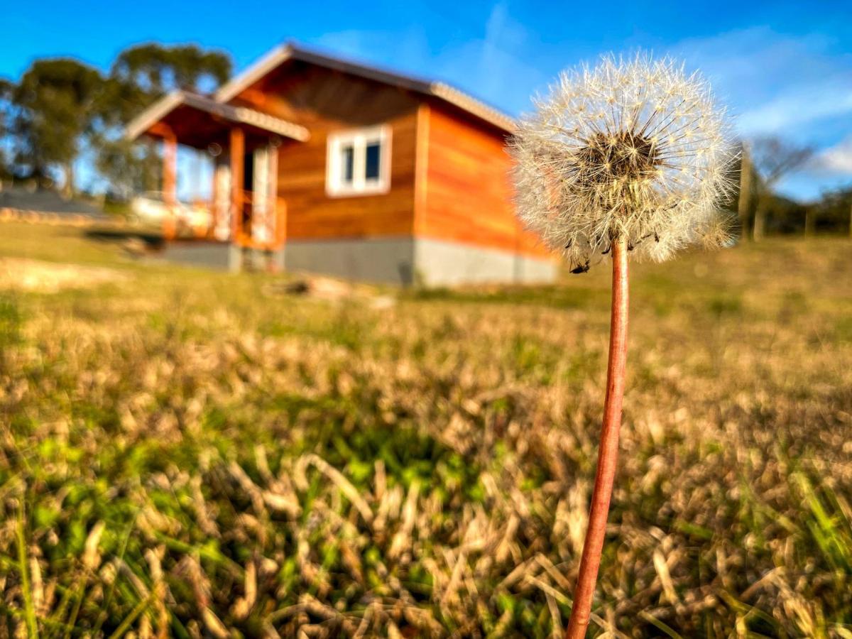 Pousada Flor Do Campestre Urubici Exterior foto